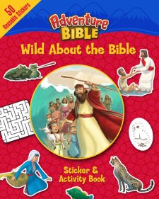 adventure bible activity book